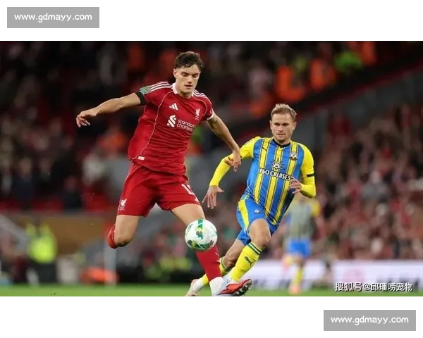 若日尼奥首秀献致命一传 一脚触球连线助弗拉门戈开门红